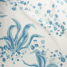 Load image into Gallery viewer, Agave Americana | Pacifica