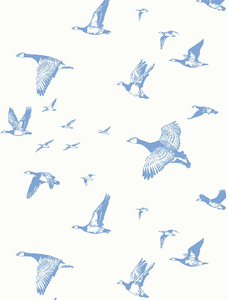 Flock in Flight | Midocean