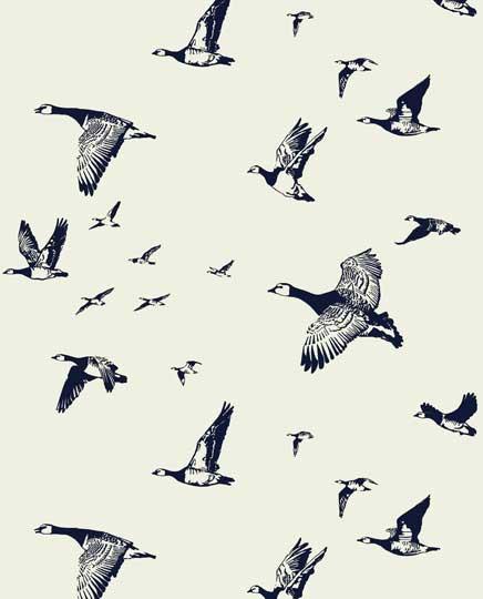 Flock in Flight | Halcyon