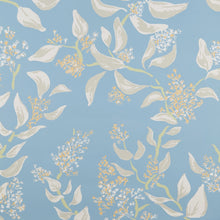 Load image into Gallery viewer, Snowbrush | Ciel