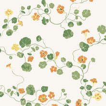 Load image into Gallery viewer, Nasturtium | Bigleaf
