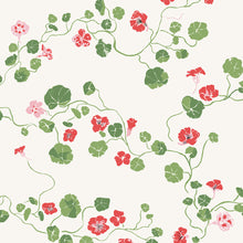 Load image into Gallery viewer, Nasturtium | Meadow