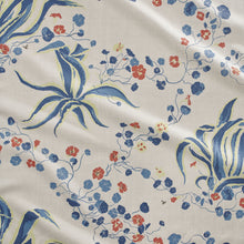 Load image into Gallery viewer, Agave Americana | Del Mar