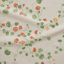 Load image into Gallery viewer, Nasturtium | Bigleaf