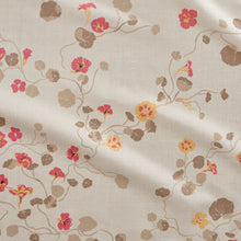 Load image into Gallery viewer, Nasturtium | Rosa
